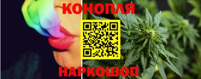 шишки Сланцы