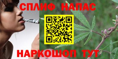 альфа пвп Славгород