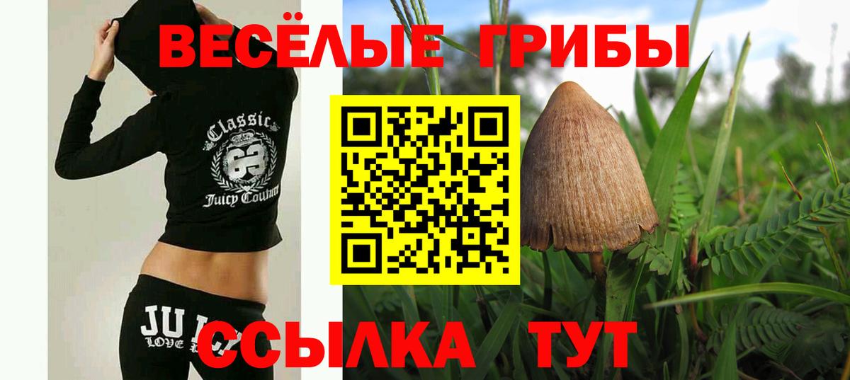 Полысаево  Псилоцибиновые грибы мухоморы  сколько стоит  Вход с VPN 